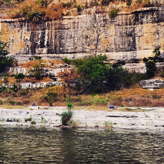 Gypsy River Resort 4