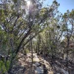 Pedernales Falls Horse Campground