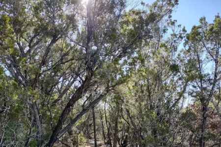 Pedernales Falls Horse Campground