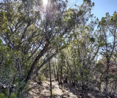 Pedernales Falls Horse Campground