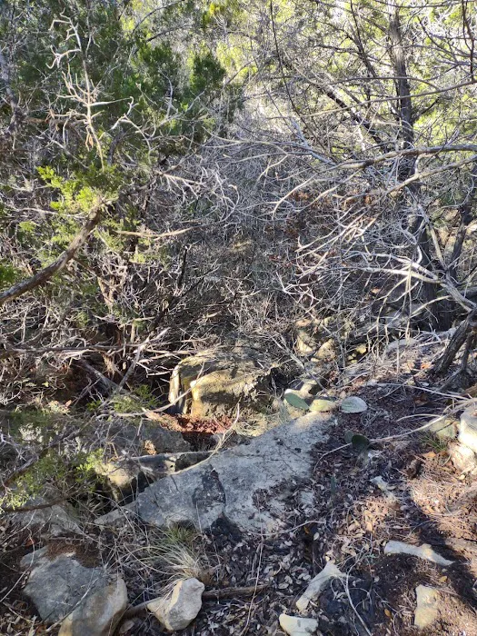 Pedernales Falls Horse Campground 3