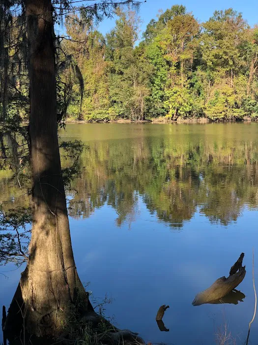 Matthews Landing 1