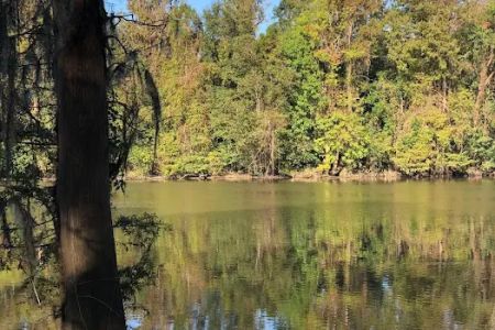 Matthews Landing