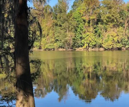 Matthews Landing