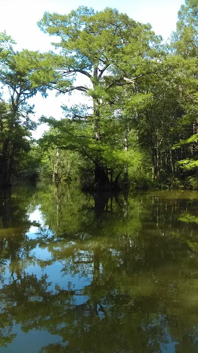 Matthews Landing 9