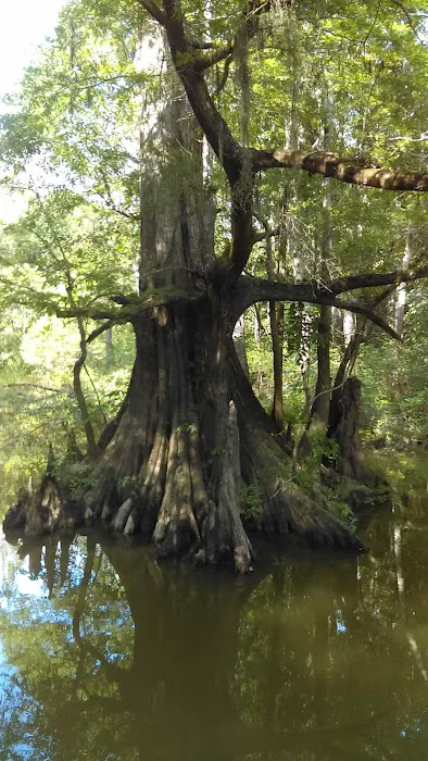 Matthews Landing 10