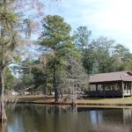 Live Oak Landing