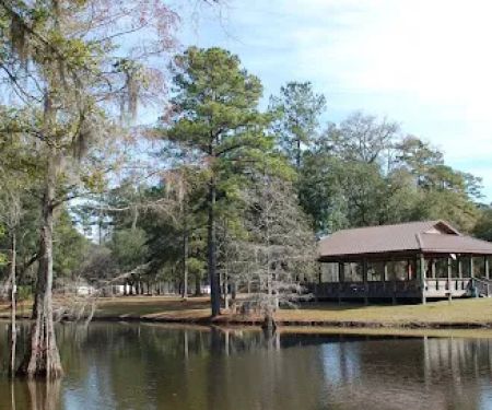 Live Oak Landing