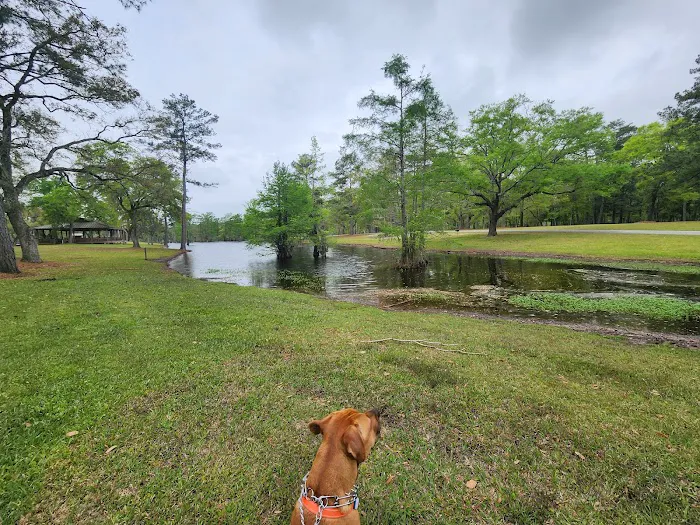 Live Oak Landing 7
