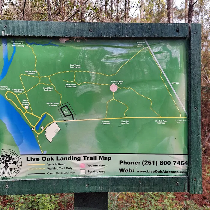 Live Oak Landing 8