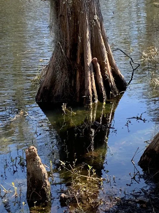 Live Oak Landing 10