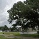 Sunrise Pointe Community