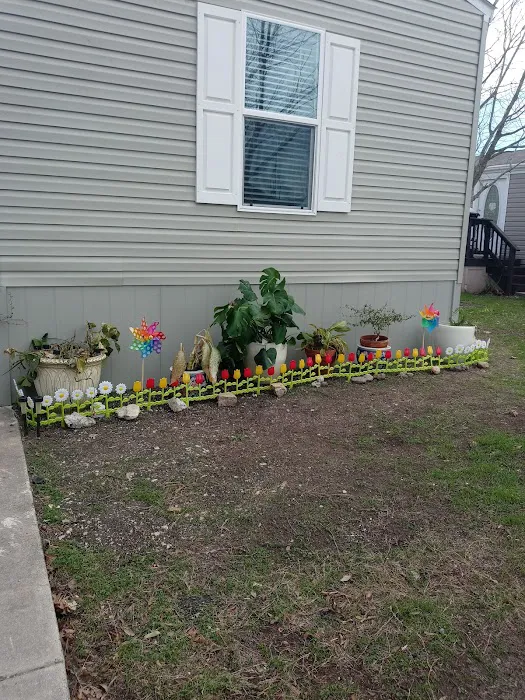 Walzem Park Manufactured Home 4