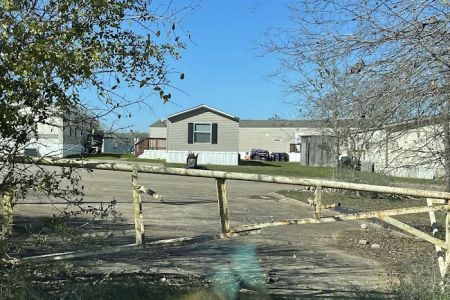Pecan Grove