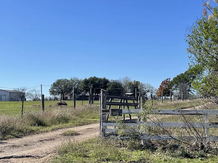 Pecan Grove 3