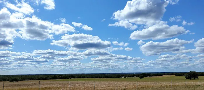 Pecan Grove 4