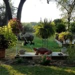 Woodland Oaks RV Estates