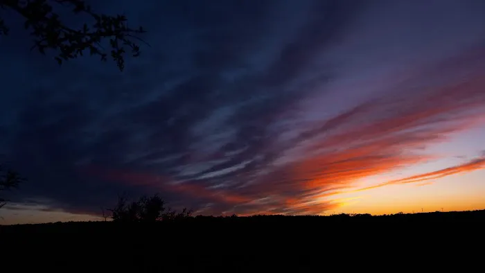 Pedernales RV Park 7