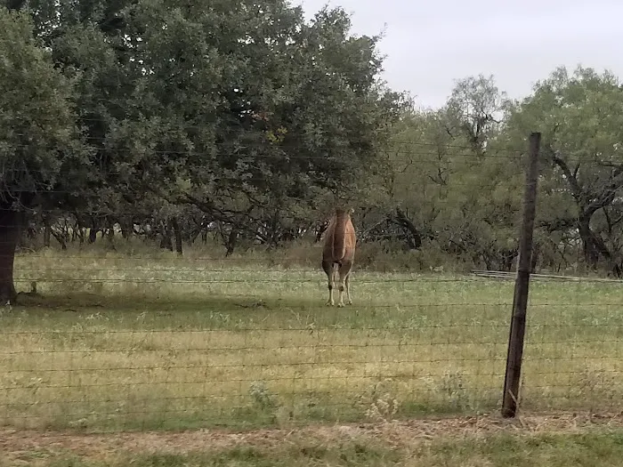 La Mancha Lake Ranch 8