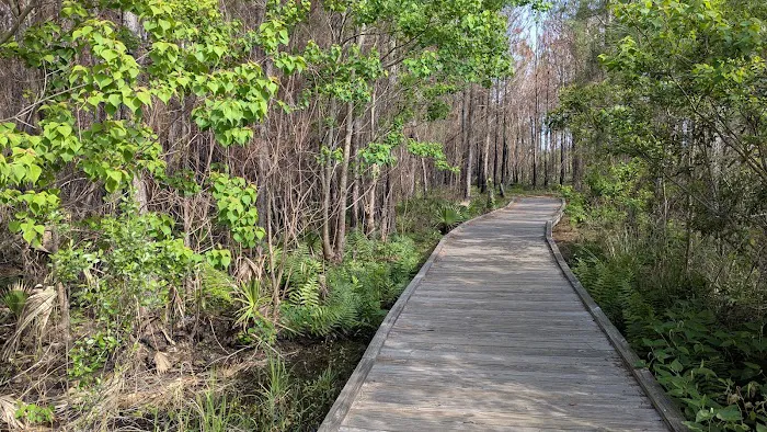 Dauphin Island Campground 3