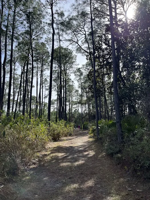Dauphin Island Campground 4