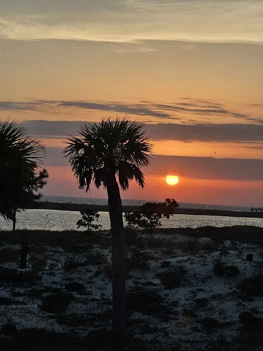 Dauphin Island Campground 5
