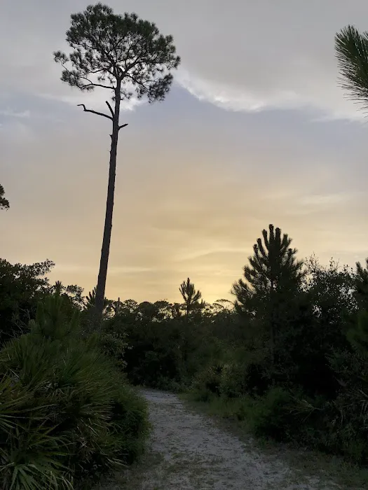 Dauphin Island Campground 9