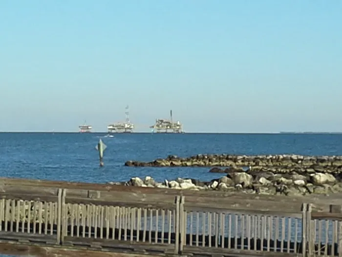 Dauphin Island Campground 8