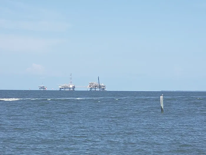 Dauphin Island Campground 10