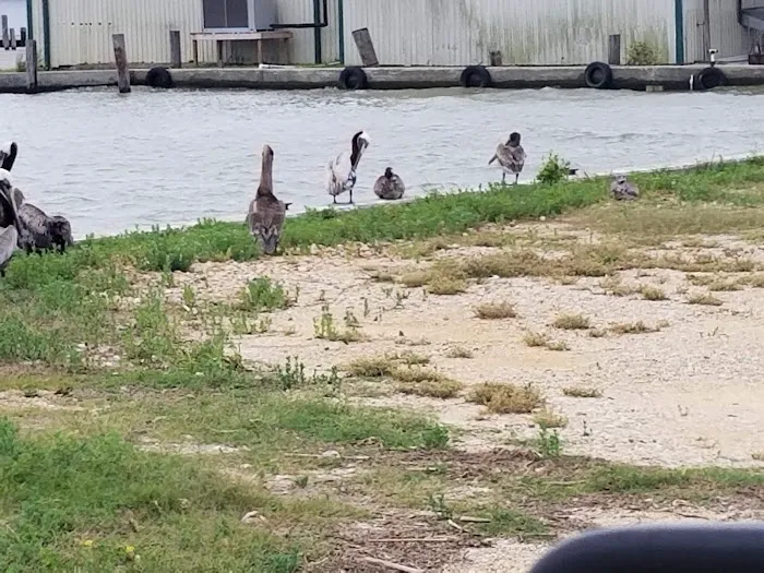 Almost Paradise RV Park LLC 8