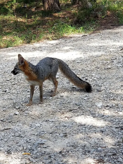 Priddy Meadow RV Park 4
