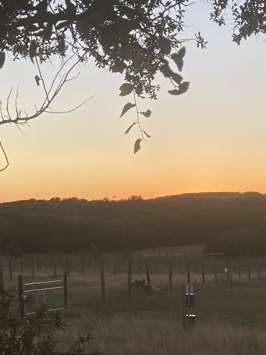 Vineyard View RV Park 2