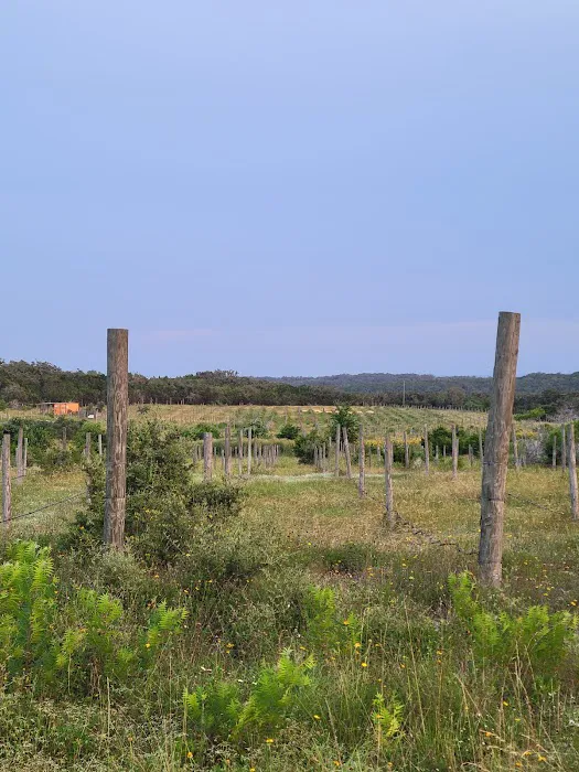 Vineyard View RV Park 6