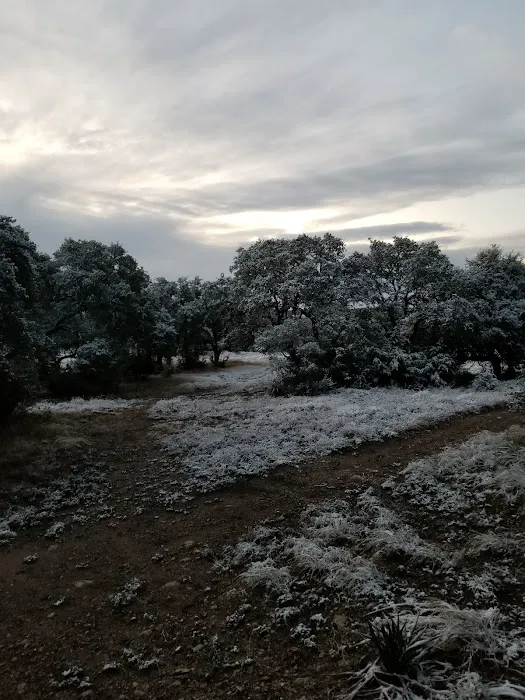 River Oaks RV Ranch 7