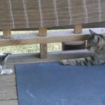 1+REINO DE LOS CIELOS