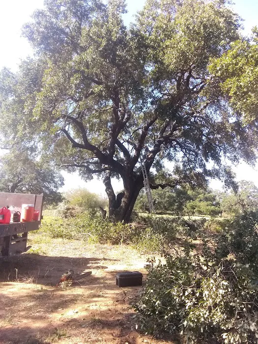 Country View RV Park 10