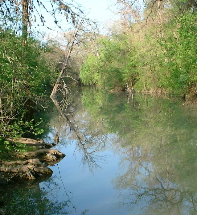 Alamo River RV Park & Campground 6