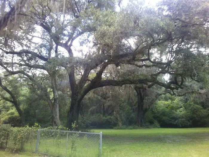 Nolte RV Park And Campground 1