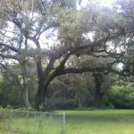 Nolte RV Park And Campground
