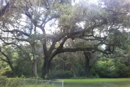 Nolte RV Park And Campground