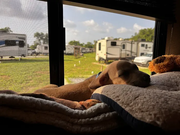Southern Belle RV Park 7