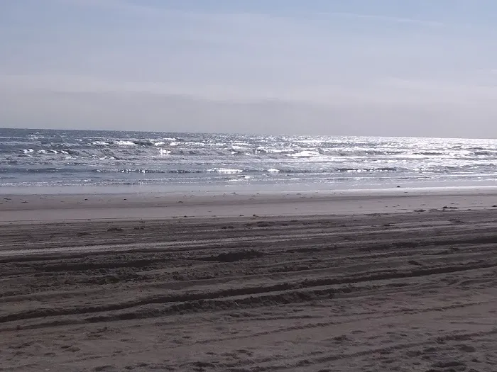 The Texas Rose RV Park 10