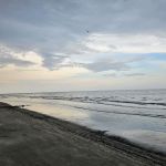 The Blue Crab RV Spots