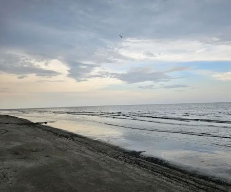 The Blue Crab RV Spots