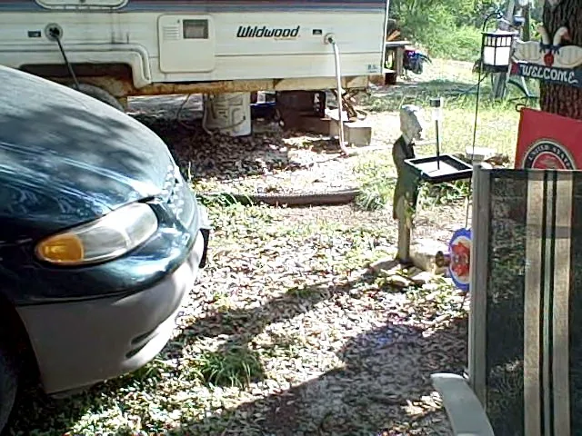 Canyon Lake Rv Park 8
