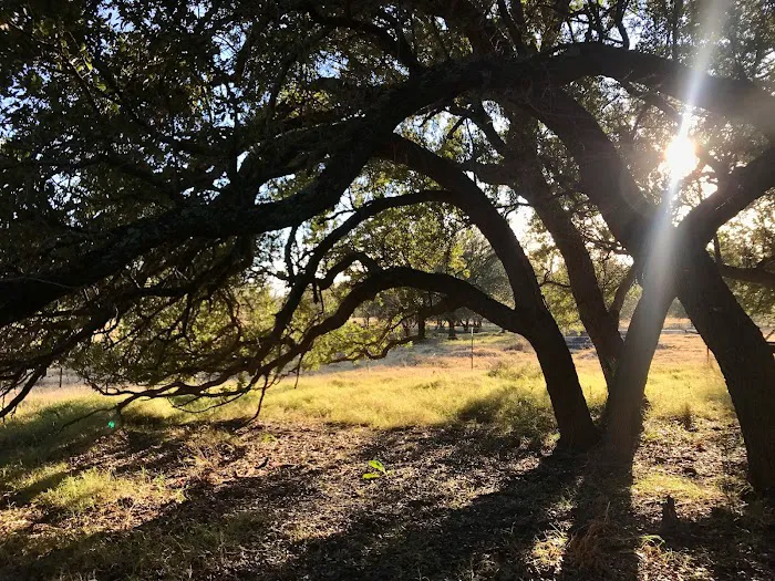 Flying Cow Ranch 5