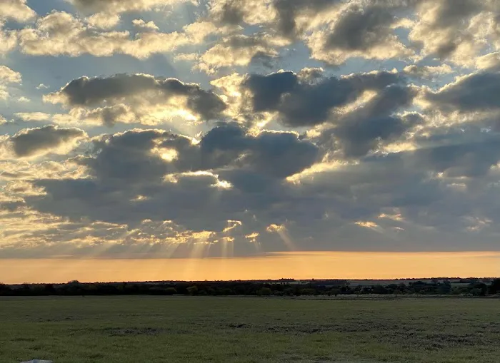Flying Cow Ranch 7