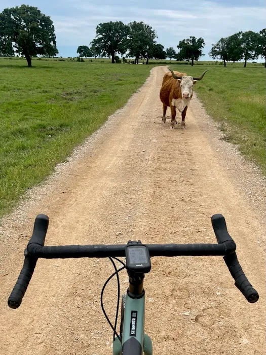 Flying Cow Ranch 4