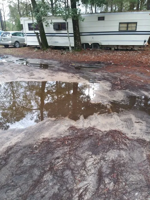 Lazy Lake RV Park 8