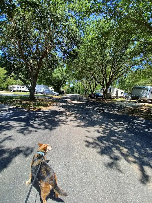 Coastal Haven RV Park 4